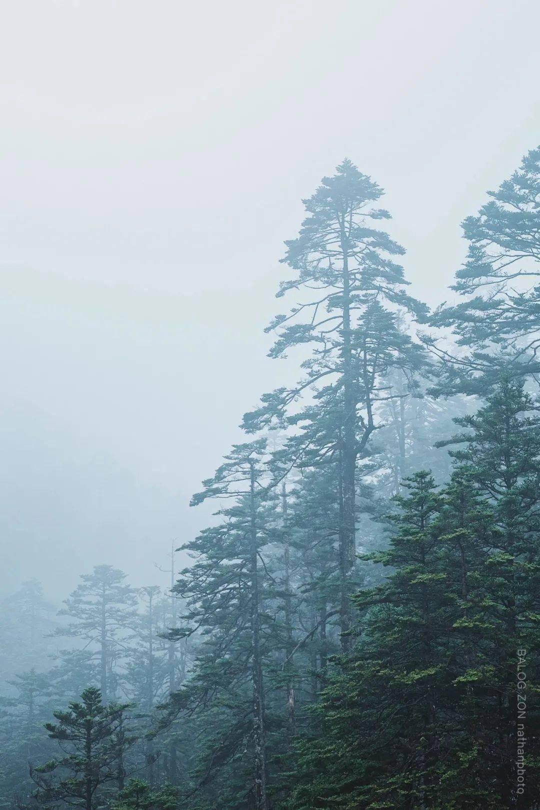 探索冷知识的怎样学好地理有哪些方法和技巧平台,满足你的好奇心!